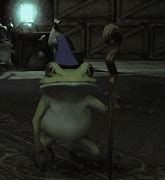 Image result for Wizard Frog