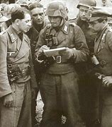 Image result for Panzer Lehr Division Uniform