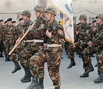 Image result for Bosnian Serb Army