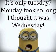 Image result for Minion Memes for Tuesday