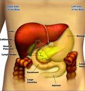 Image result for Pancreatic Cancer Pain Location