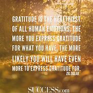 Image result for Quotes About Gratitude