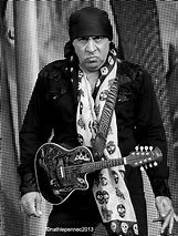 Image result for Steven Van Zandt Early Years