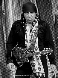 Image result for Steven Van Zandt Movies and TV Shows