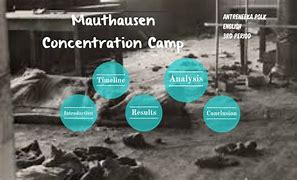 Image result for Famous Concentration Camp Photos