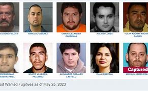 Image result for Detroit Most Wanted Criminals