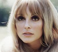 Image result for Sharon Tate Manson