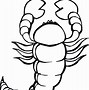 Image result for Pic of Scorpion Drawings