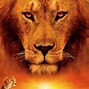Image result for Movies About Nature