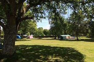 Image result for New Forest Campsites
