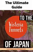 Image result for Japan Travel Brochure