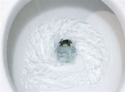 Image result for Toilet Flush Not Flushing