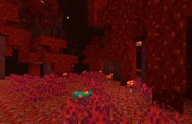 Image result for Minecraft New Nether