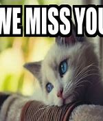 Image result for Congrats We Will Miss You Meme