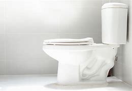 Image result for Duravit Toilets