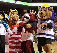 Image result for All NBA Team Mascots