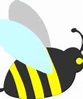 Image result for Bee Wallpaper