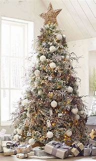 Image result for Different Christmas Trees