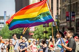 Image result for LGBTQ Colours