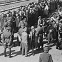 Image result for Concentration Camp Transport