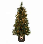 Image result for Exterior Christmas Trees