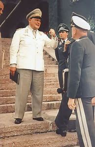 Image result for Hermann Goering Blue Uniform