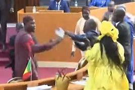 Image result for Senegal parliament brawl