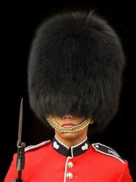 Image result for Buckingham Palace Guard Hat