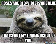 Image result for Sloth Jokes Clean