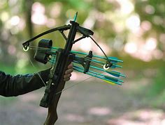 Image result for Man caught with crossbow