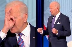 Image result for Trump Biden State by State