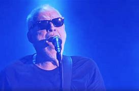 Image result for David Gilmour Pulse
