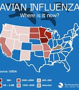 Image result for APHA Avian Flu Map