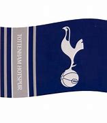 Image result for Spurs Flag
