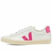 Image result for Neon Pink Veja Shoes