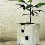 Image result for Concrete Planters Outdoor