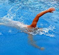 Image result for Kintaro OE Swimming