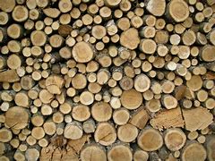 Image result for Wood Awl