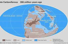 Image result for Carboniferous Atmosphere