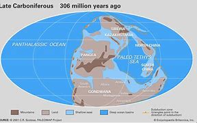 Image result for Carboniferous Period Climate