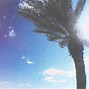 Image result for Chill Vibe Background