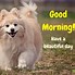 Image result for Funny Animal Good Morning Quotes