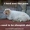 Image result for Funny Sheep Sayings
