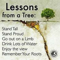 Image result for Tree Leaning Quotes