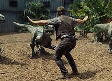 Image result for Chris Pratt Raptor Meme