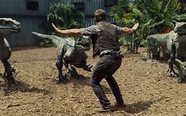 Image result for Chris Pratt Raptor Tamer