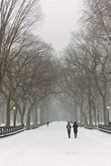 Image result for Central Park NY Snow