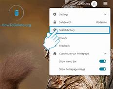Image result for View Recent Search History Bing