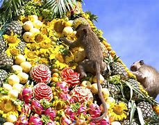 Image result for Lopburi Monkey Banquet