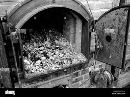 Image result for Majdanek Dead Bodies